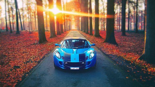 Красивые машины на природе