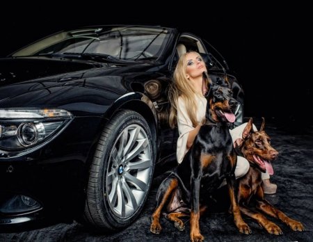 Девушка Доберман машина