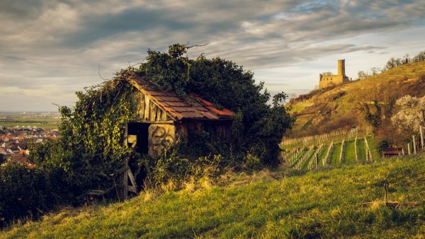 Деревня на пригорке