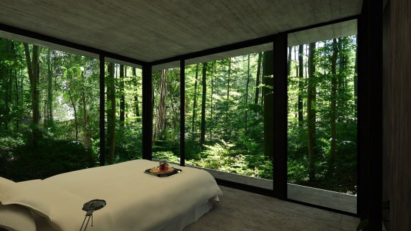 Стелкнный домик в лесу