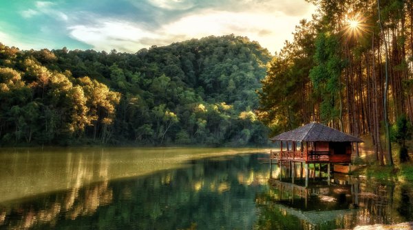 Домик в лесу у озера