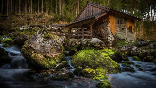 Дом у реки (River Cottage)