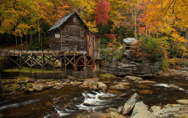 Домик в лесу у реки