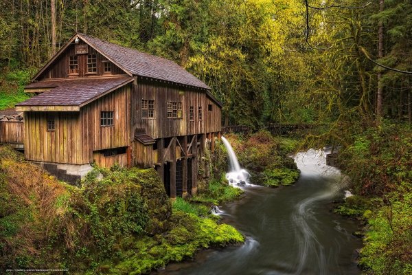 Домик у речки в лесу