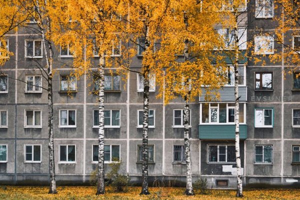 Академгородок Новосибирск хрущёвки