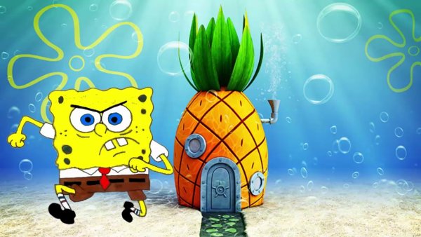 Губка Боб цветы