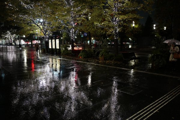 Дождливый день