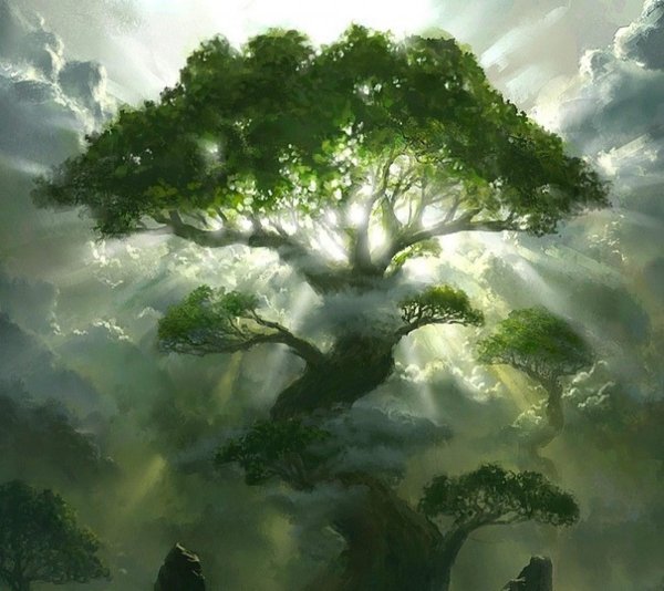 Ясень Иггдрасиль