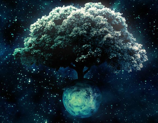 Космическое дерево