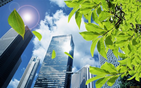 Городская экология