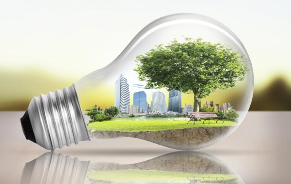 Топливо экология