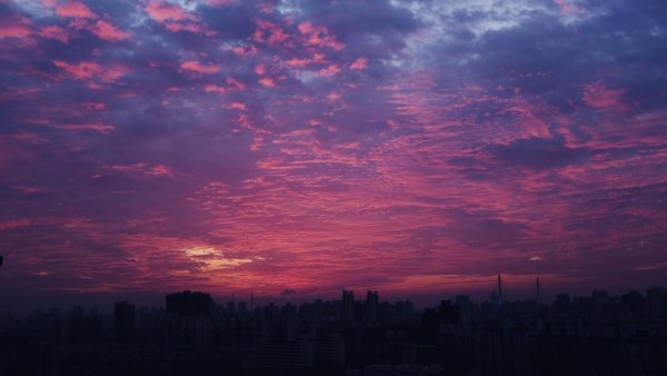 Розовый закат в городе