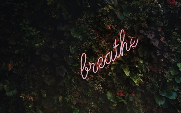 Фоны рабочего стола красивые с надписями