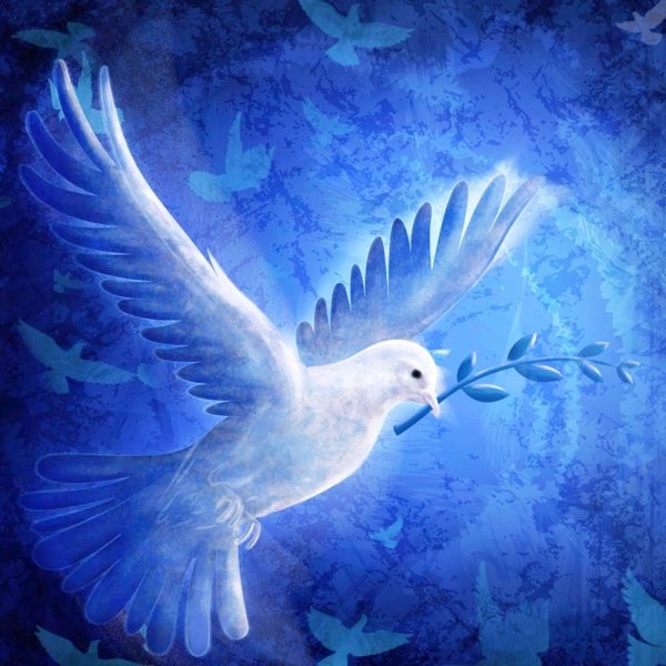 Голубь мира
