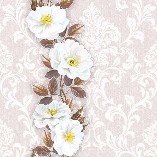 Обои моника4834