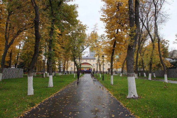 Парк в городе Балашове