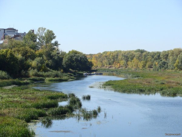 Река Хопер Саратовская область