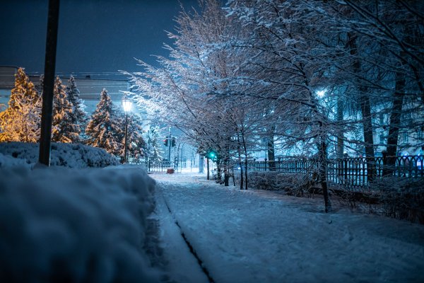 Заснеженная улица ночью