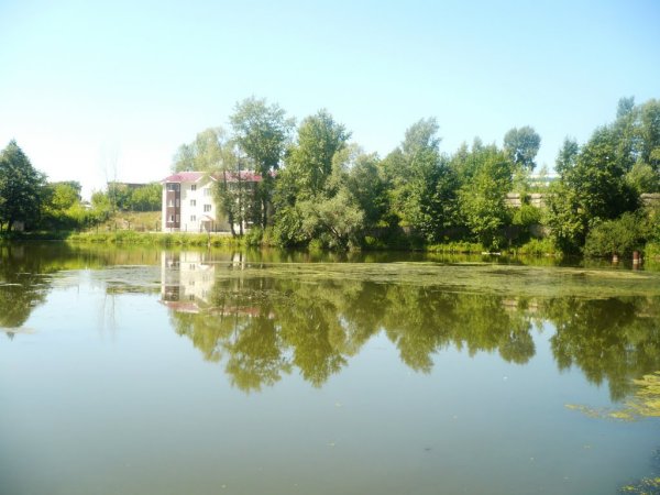 Город Чайковский НОЦ