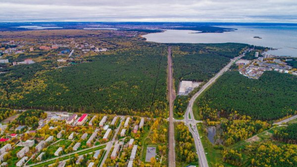 Новосибирский Академгородок
