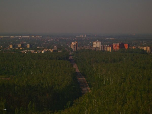 Парк на авиационной в Домодедово