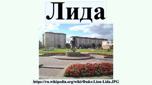 Что такое лид-информация?