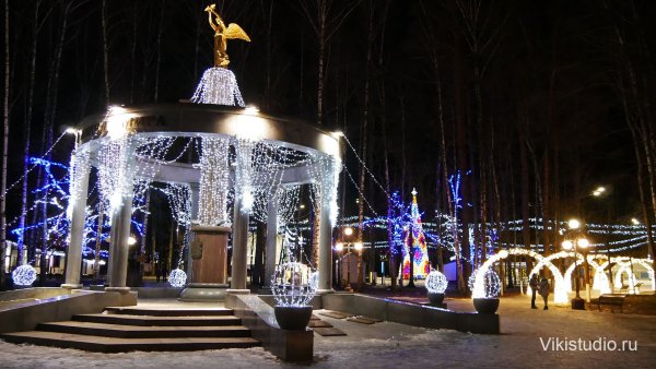 Парк Ногинск зимой