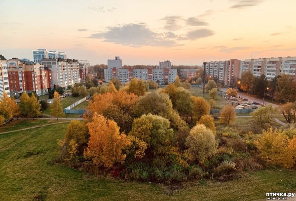 Обнинск осень