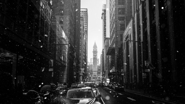 Черно белые машины в городе