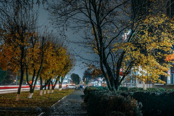 Россошь осенняя