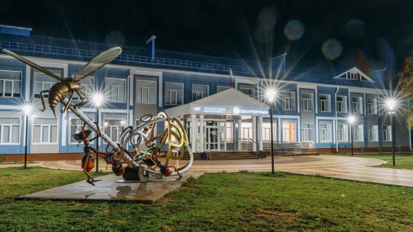 Кванториум Россошь муравьи