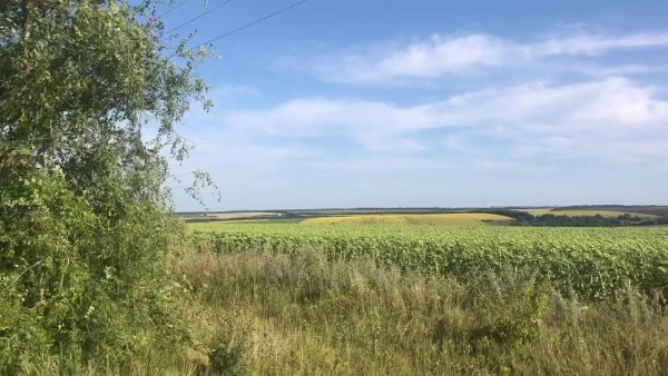 Воронежская область Россошанский район холмы