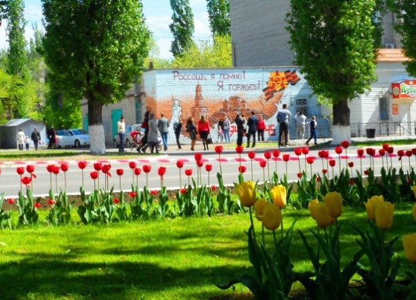 Природа города Россошь