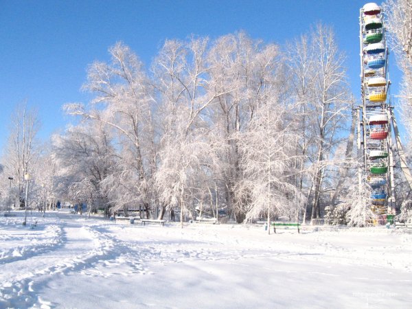 Зимняя Россошь парк