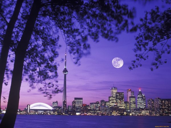 Торонто Канада Эстетика