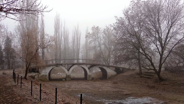 Александровский парк Шахты