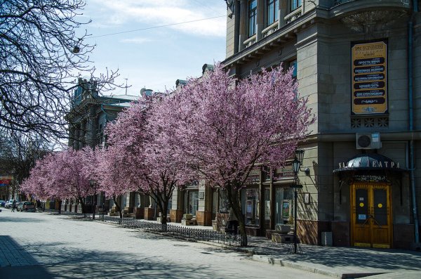 Симферополь весной