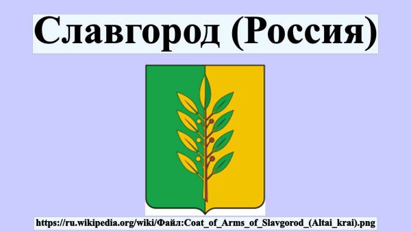 Флаг города Славгорода Алтайского края