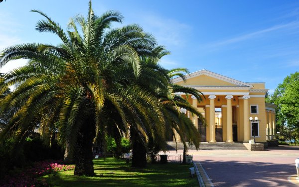 Лос Анджелес пальмовая аллея