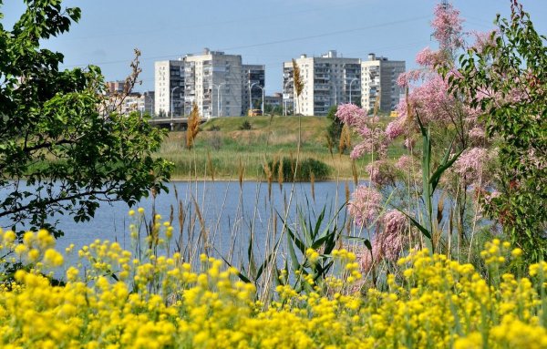 Волгодонск Ростовская область природа