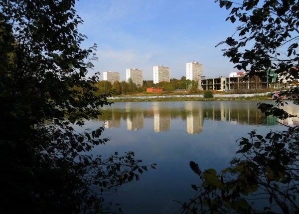 Город Зеленоград