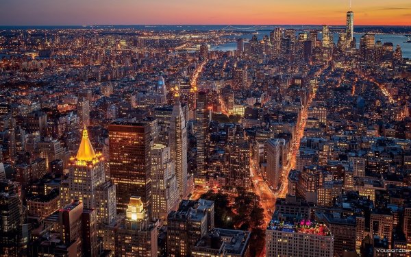 Нью-йоркер город