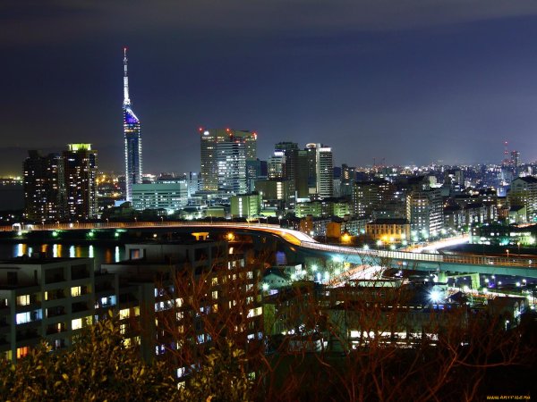 Ночной город тегу фото