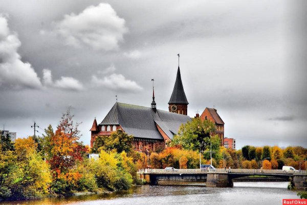 Калининград кафедральный собор осенью