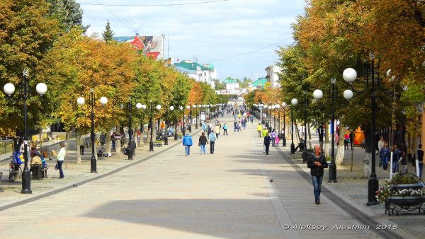 Пенза пешеходная улица Московская