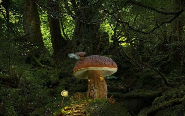 Сказочный лес с грибами