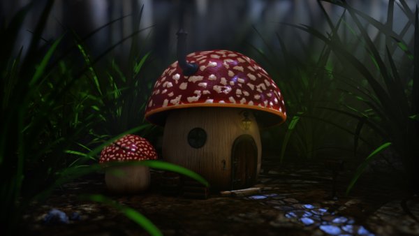 Царство грибов обои