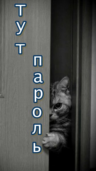 Обои с надписью а тут пароль