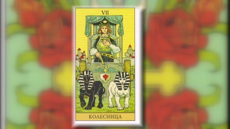 7 Аркан Таро