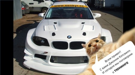 БМВ С котами